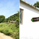 터미널생고기 이미지