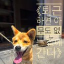 이쁨예쁨