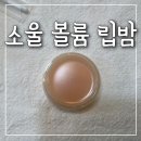 플라스틱소울 | 올리브영 소울 에버 모이스트 립밤 내돈내산 후기