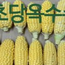참솔영농조합법인
