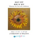 신은주 - 370 | 신은주