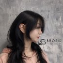 브로시스 이미지