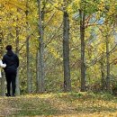 어느 날 오후 이미지