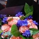 추카추카 이미지