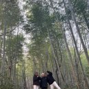 금성산성오토캠핑장 이미지