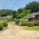 오창 김사렴 묘소 네이버블로그