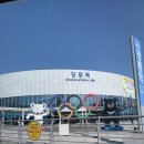 238 | [강원/강릉/가오리찜] 강릉 맛집 "이모네생선찜"방문 후기(꿀팁, 238번 시도 끝에 전화예약성공)