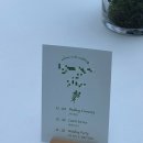 베스트웨스턴강남호텔주 | 베스트웨스턴 프리미어 강남호텔 예식 하객 후기