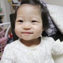 베베앙드레 이미지