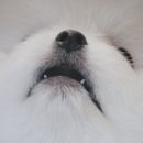 보통의논리 네이버블로그