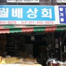 월배상회