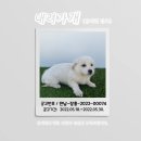 삼교축산 네이버블로그