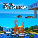 해동용궁사 근처 가볼만한곳 국립수산과학관 무료 주차 입장료 정보 &amp; 용궁사 걸어가는 꿀팁