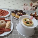 까까 주시개 이미지