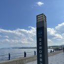 동해건어물할인매장 | 동해 묵호 여행 (2) 추암해수욕장, 묵호중앙시장, 묵호시장, 망상해수욕장