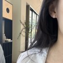 파랑돌 | 에르메스 파랑돌 샹달 귀걸이 실버 착샷, 착용 후기