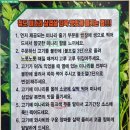 청도미나리뜯는돼지