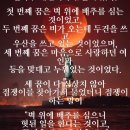 인생 지침서(사소십다) 이미지