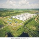 그린피드(greenfeed) 이미지