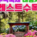 청춘여행사