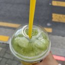 샾멜론