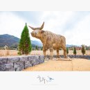 의암논개상 이미지