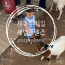 준서농장 | [육아일기]✈️ 제주도 가족여행 4박 5일 – 2탄 (3일차부터)