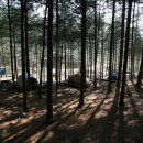 갈천농장 | 지난 1년동안 가봤던 캠핑장들..