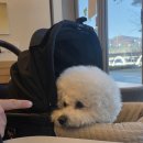 우리함개 이미지