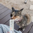 왓다민박 | 와인클래스와 함께한 안동 한옥 독채 숙소 이든민박 여름과 겨울 두 번의 방문 후기