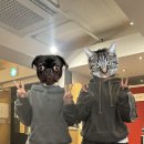 향토구공탄 이미지