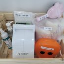 삐삐애견 이미지