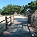 오산리선사유적박물관 이미지