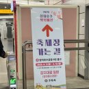 장자길 | 2026 장자호수 벚꽃마실 축제/구리모찌쿠션 받기/체험부스후기