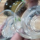 해원복국 이미지