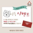 도그라운드 이미지