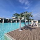 엘리스테이보령 이미지