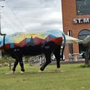 청화 노인회관 이미지