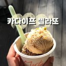 젤라떼리아뮤트
