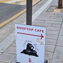 시흥3동 공영주차장(남녀공통) | [서울 종로] 서순라길 루프탑 트마리 분위기 좋은 한옥감성카페 내돈내산