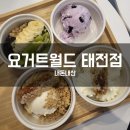 요거트월드 태전점
