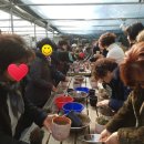사계절다육농장