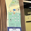 호텔 하비비 | 스푼글램핑/초강추 내돈내산 포천신축글램핑장!