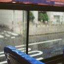주정차60 이미지