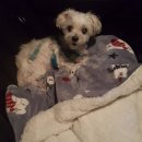 박종현동물병원 이미지