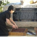 백골부대 표지석 이미지