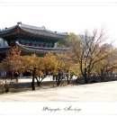 창경궁 홍화문 옆 이미지