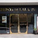 강남왕족 이미지