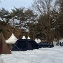 맘스터치 포천점 | 포천 가보세캠핑장 | 겨울장박 가능한 애견동반 캠핑장 후기