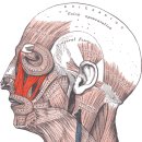 백마성동한의원 이미지